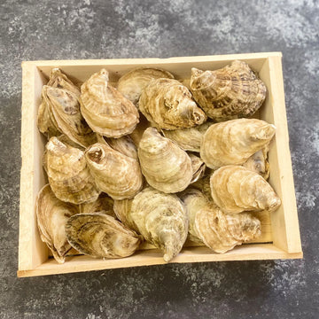 Beausoleil Oysters NB EA 1.50