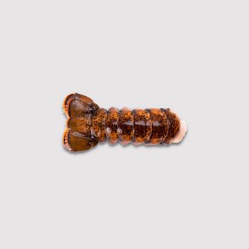 Lobster Tail Canadian 5oz Frozen Price Per LB