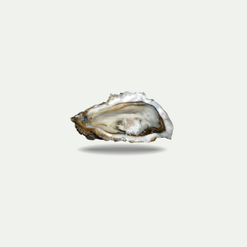 Kusshi Oysters EA 2.00
