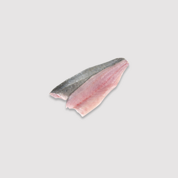 Sea Bass (Fillet 120-140gm V-Cut) Fresh Price Per LB