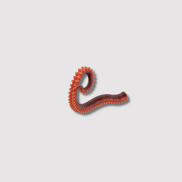 Octopus (LEG) T5 Frozen Moroccan Price Per LB