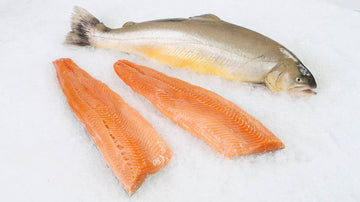 Arctic Char Fresh (Fillet, Iceland) Price Per LB