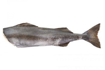 Cod Black 5/7 Head OFF Frozen (H/G) Price Per LB