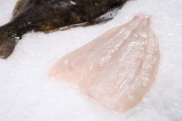 Halibut Wild Fresh (Fillet Net, EC) Price Per LB