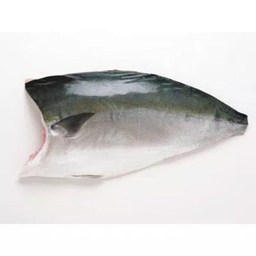 Hamachi-Amberjack Frozen Japan Fillet Price Per LB