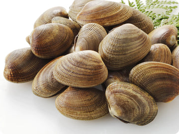 Clam - BC Manila Price Per LB