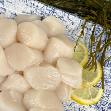 Scallop U/10-Fresh Natural Price Per LB