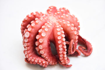 Octopus T4 Frozen Moroccan (4-6lb) Price Per LB
