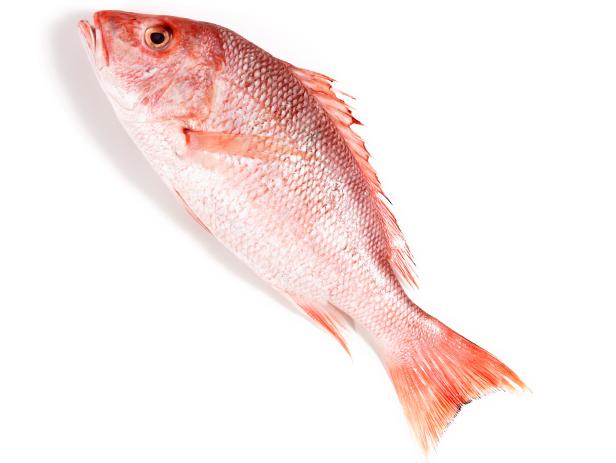 Red Snapper Wild Whole Scaled Gutted Fresh 1-2lb Price Per LB