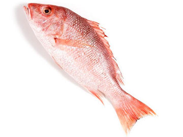 Red Snapper Wild Whole Scaled Gutted Fresh 1-2lb Price Per LB