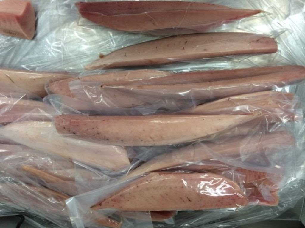Tuna Albacore Loin Frozen (VN) Price Per LB