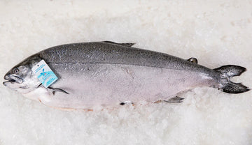 Salmon-BC King Organic Fresh 3-5lb (Whole) Price Per LB