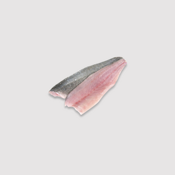 Sea Bass (Fillet 400-600gm) Fresh  Price Per LB