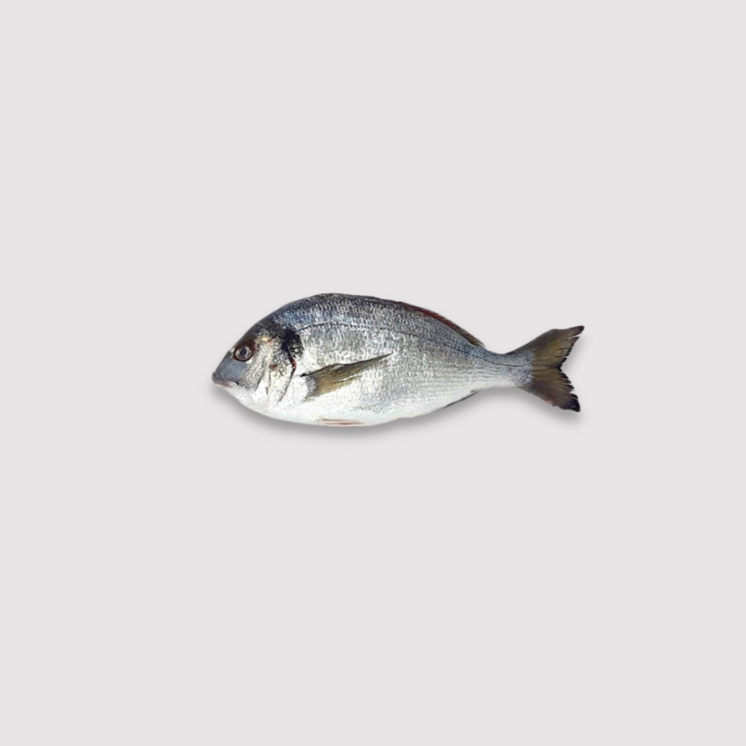 Sc Bream Sea Bream (Whole 400-600gm) Fresh Scaled Gutted Price Per LB