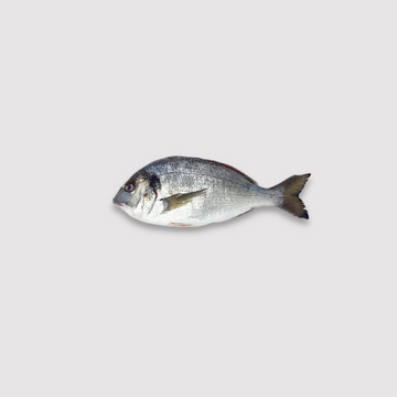 Sea Bream (Whole 400-600gm) Fresh Scaled Gutted Price Per LB