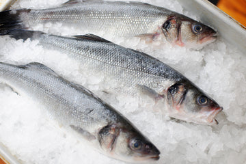 Sea Bass (Whole 400-600gm) Scaled Gutted Fresh Price Per LB